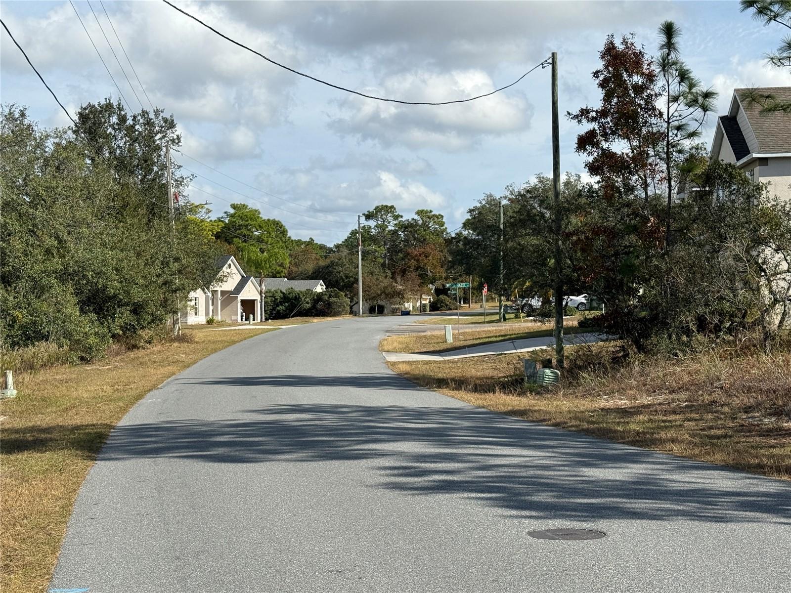 220 Linder Dr, Homosassa, FL 34446 photo