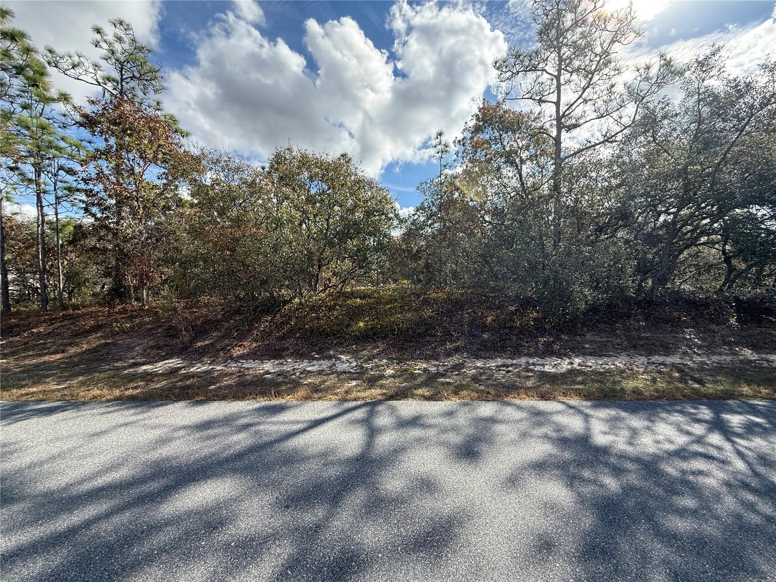 220 Linder Dr, Homosassa, FL 34446 photo