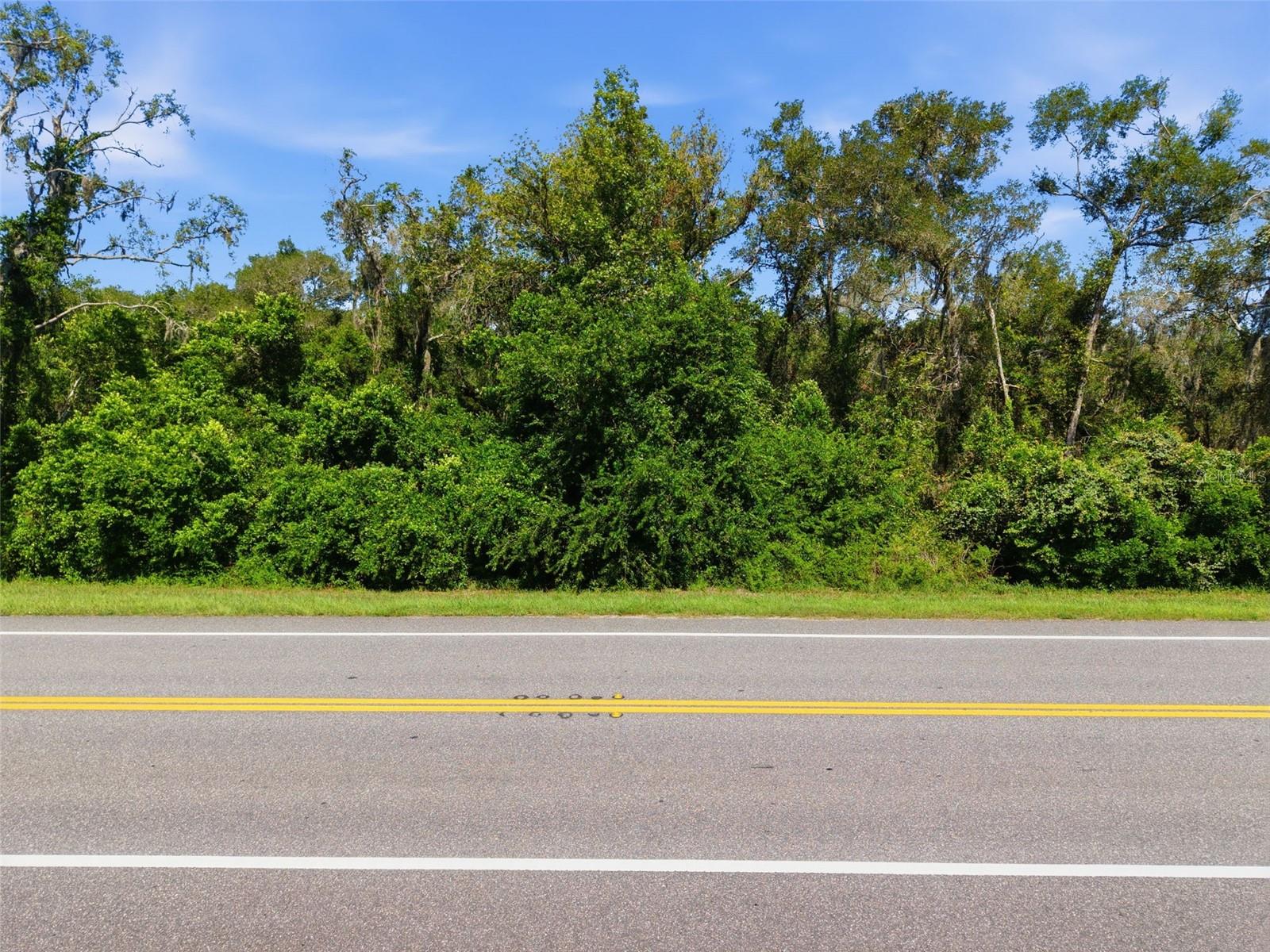 Mckethan Rd, Dade City, FL 33523 photo