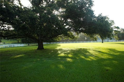  in DADE CITY FL SKY RIDGE CIRCLE.jpg