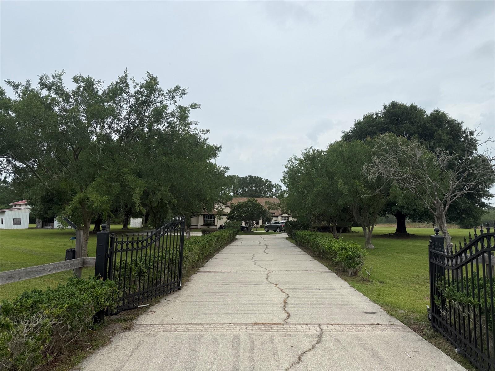 31405 Bear Pond Dr, Sorrento, FL 32776 photo