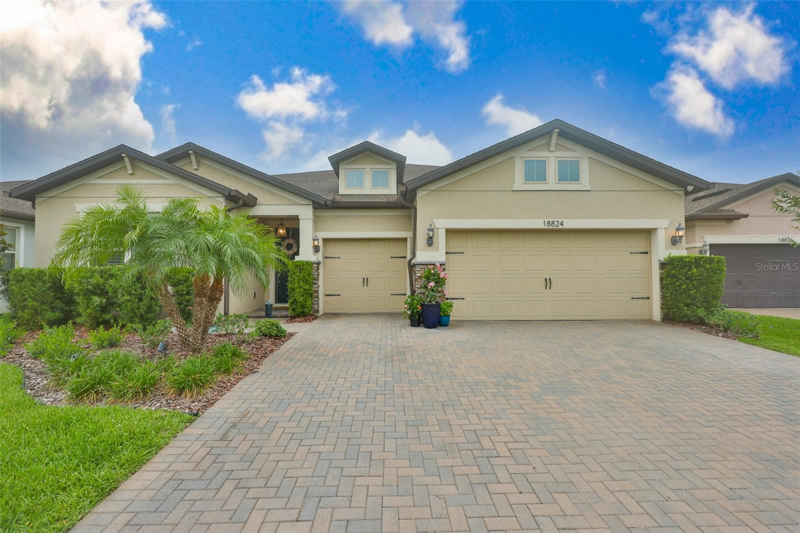 18824 Alder Glen Dr, Lutz, FL 33558 photo