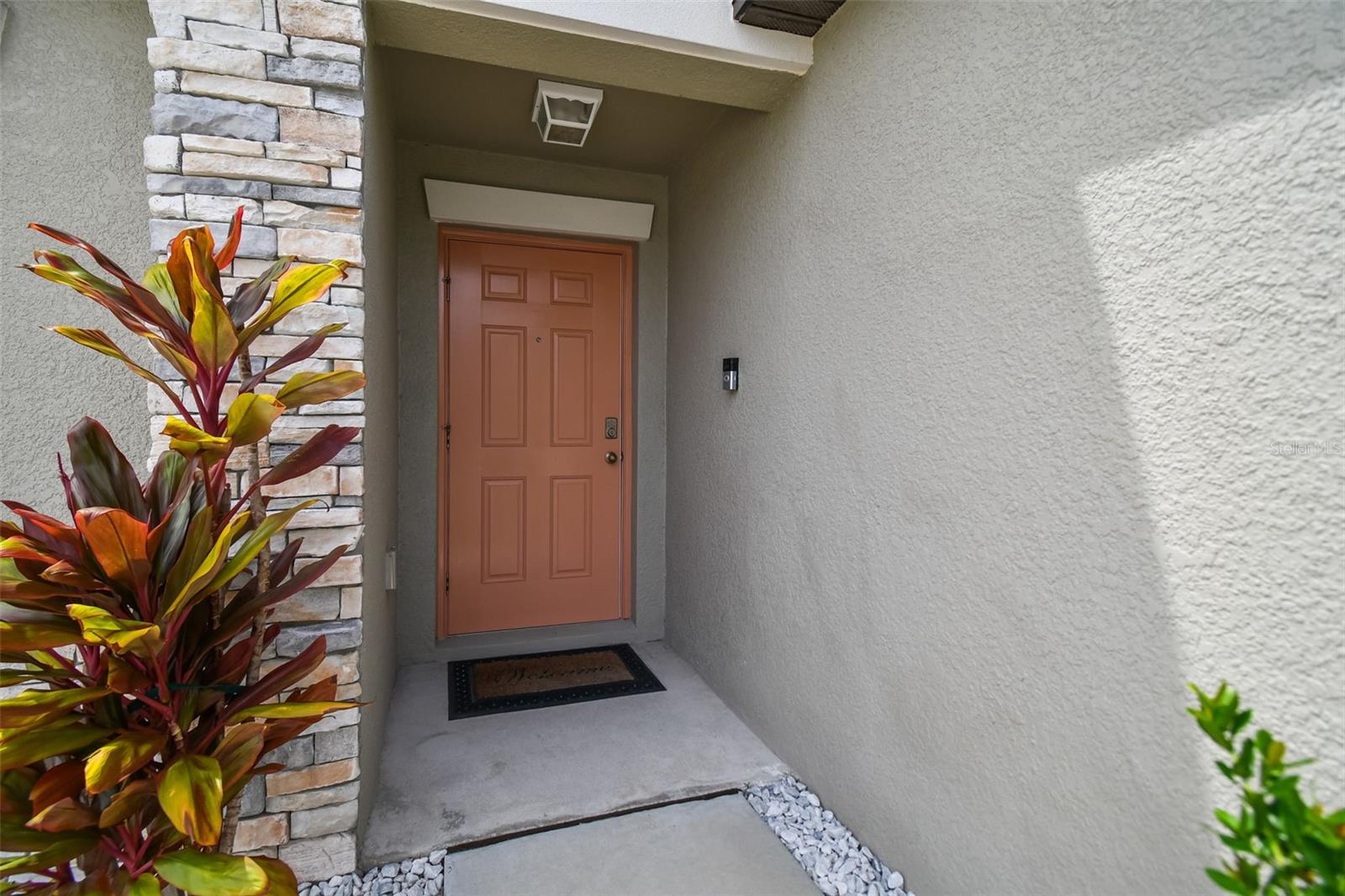 13603 Wild Ginger St, Riverview, FL 33579 photo