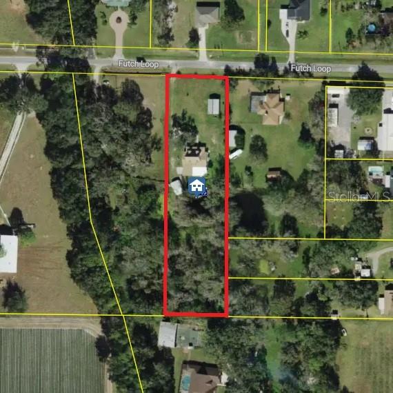 3717 Futch Loop, Plant City, FL 33566 photo