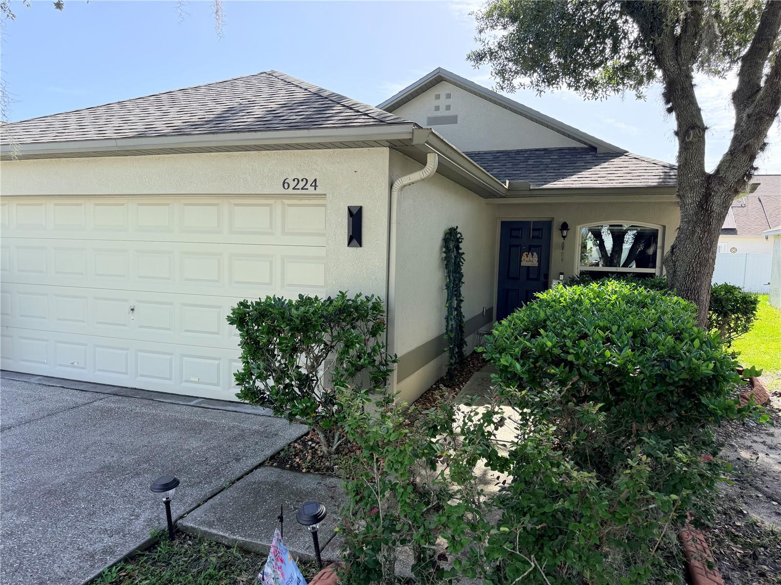 6224 Tabogi Trl, Wesley Chapel, FL 33545 photo