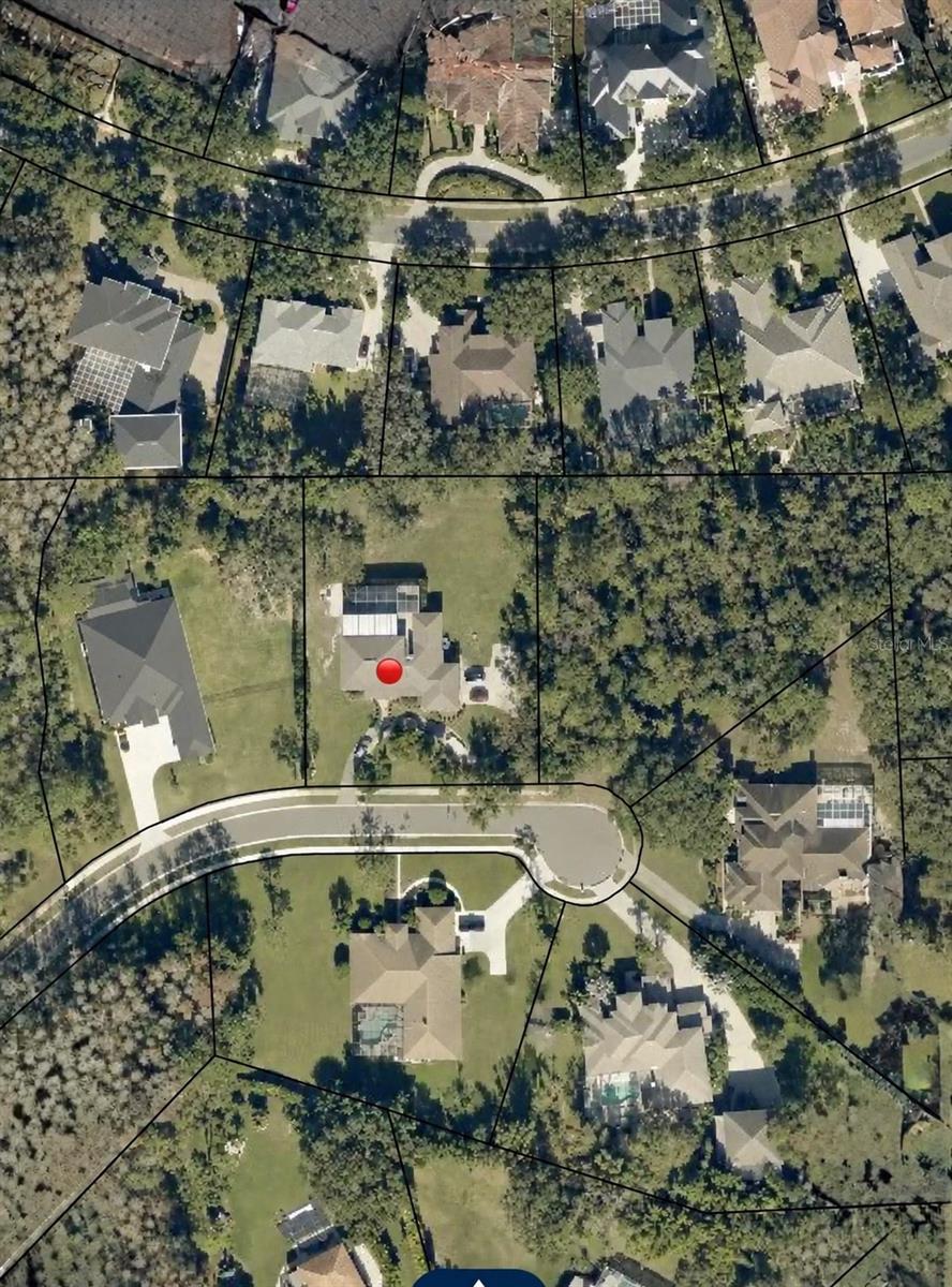 2966 Post Rock Ct, Tarpon Springs, FL 34688 photo