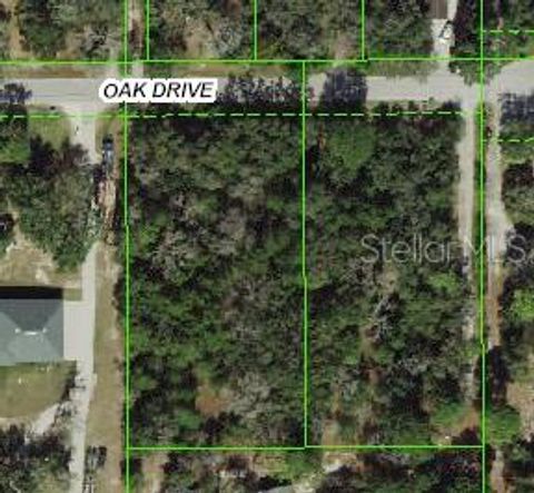 in HUDSON FL 0 OAK DRIVE.jpg