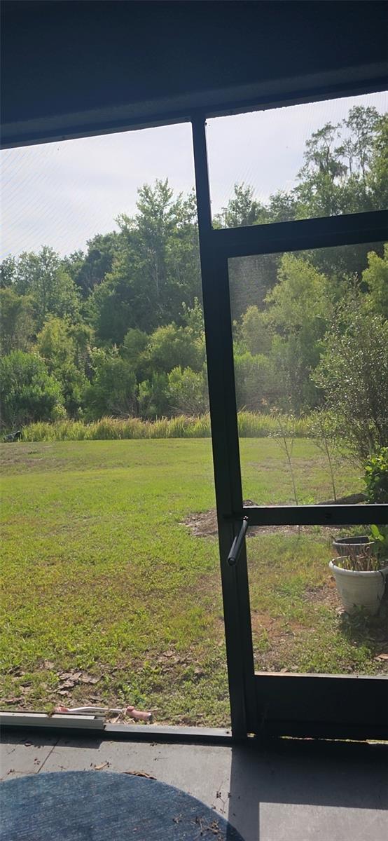 32926 Kaloko Rd, Wesley Chapel, FL 33543 photo