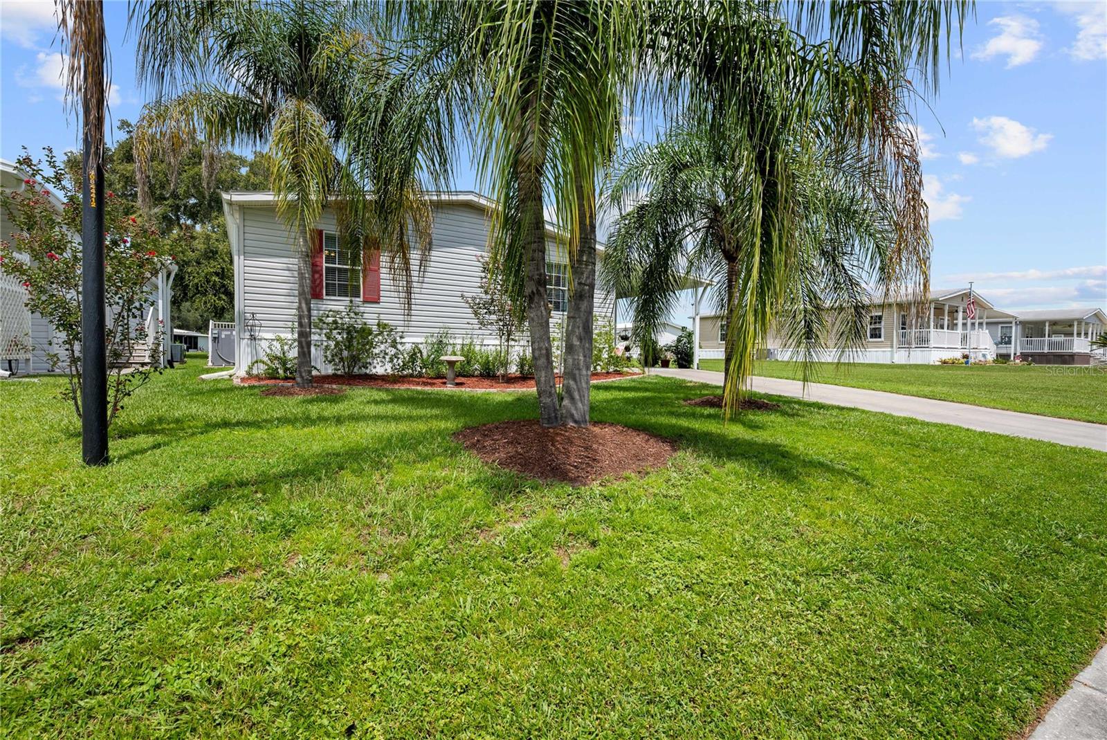 38417 Monet Dr, Zephyrhills, FL 33540 photo