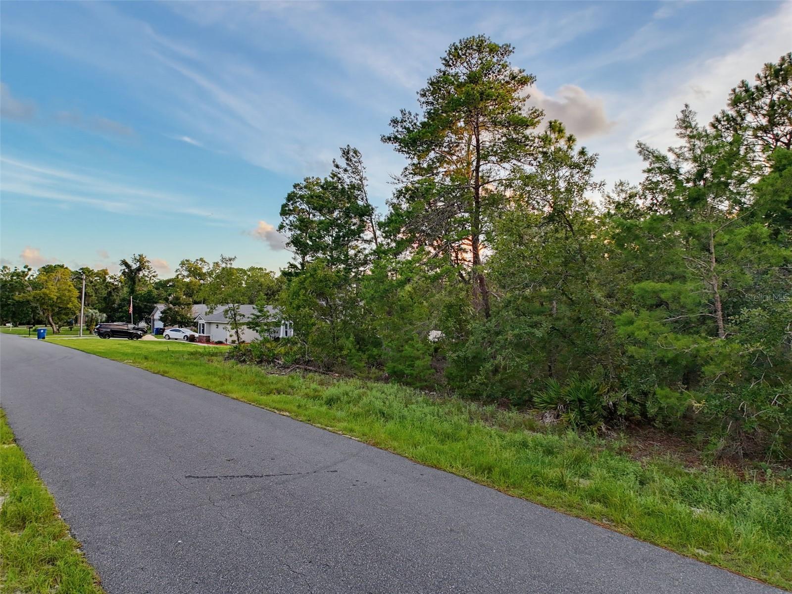 18367 Maberly Rd, Weeki Wachee, FL 34614 photo