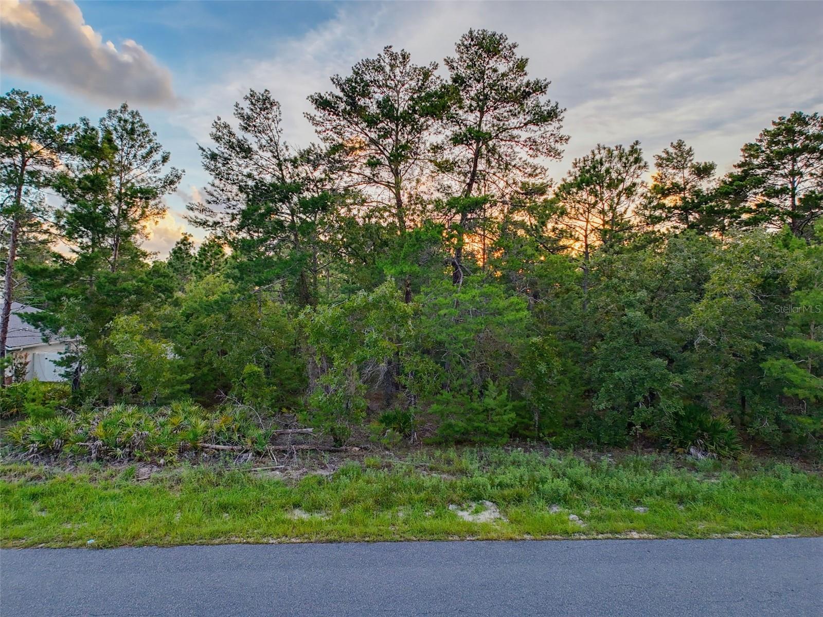 18367 Maberly Rd, Weeki Wachee, FL 34614 photo