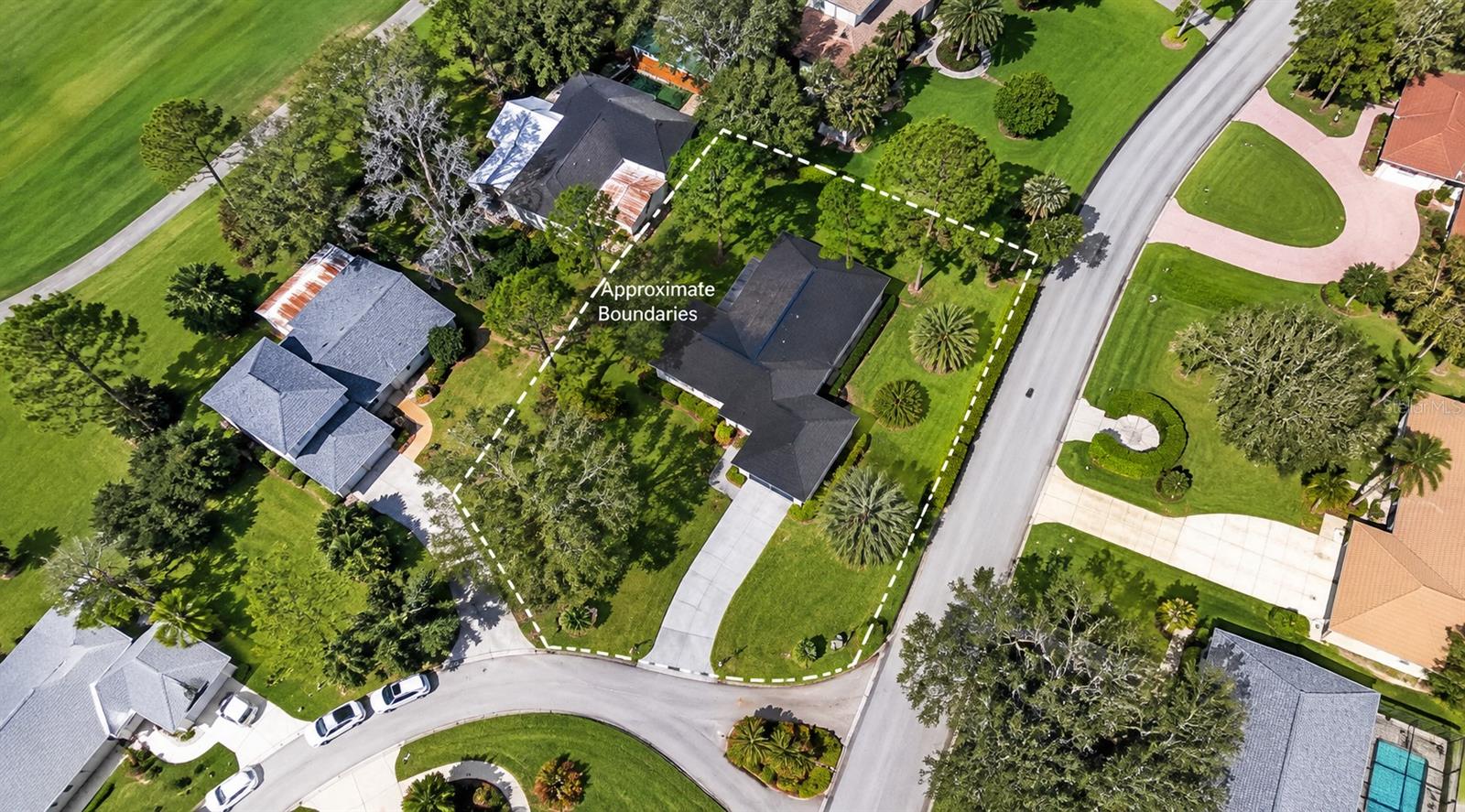 5144 Pine Tree Ln, Wesley Chapel, FL 33543 photo