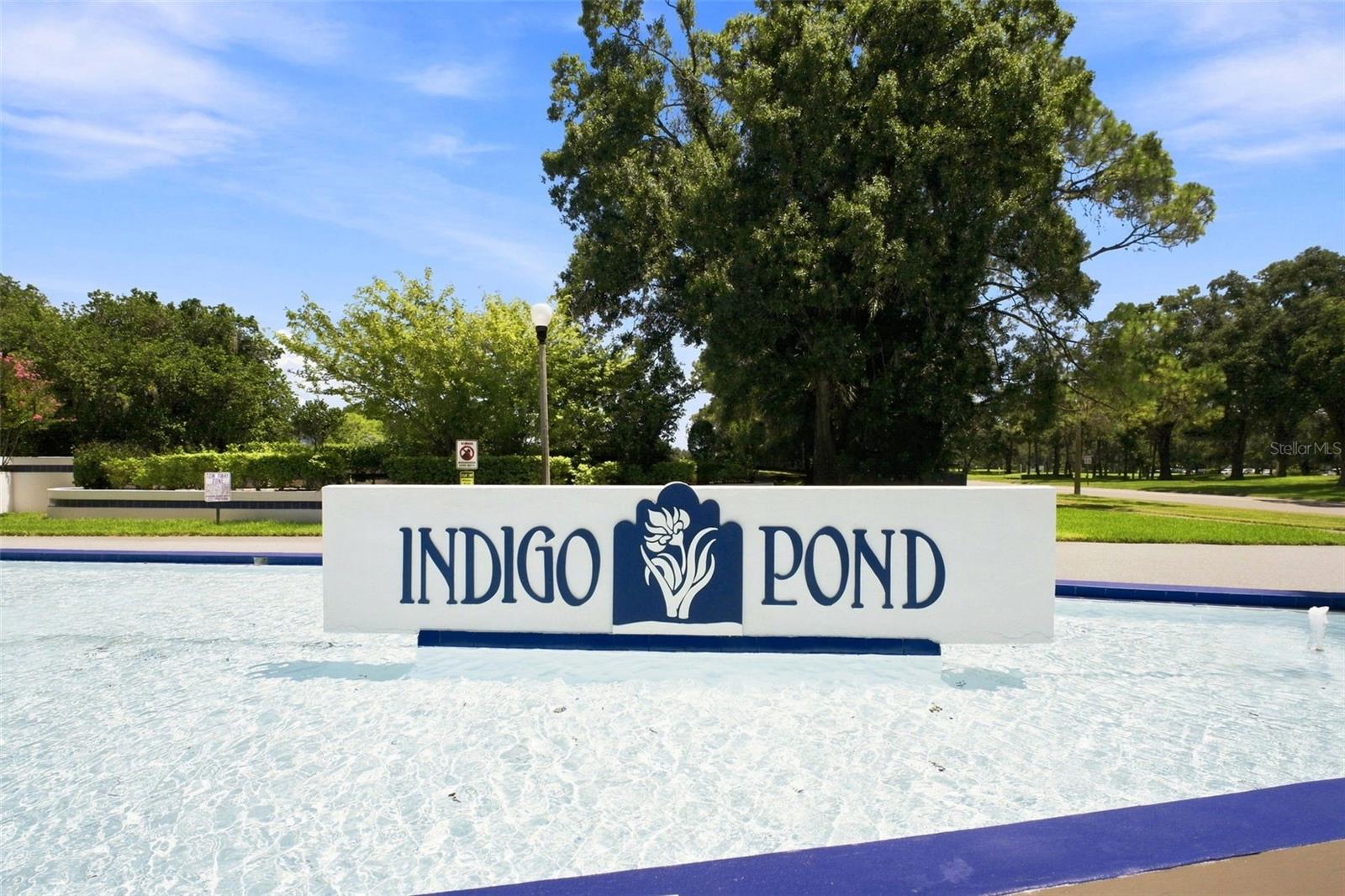3588 Indigo Pond Dr #12, Palm Harbor, FL 34685 photo