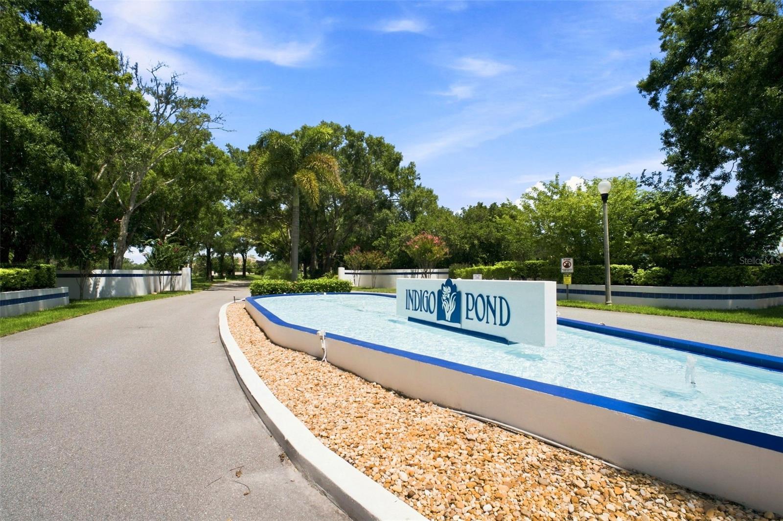 3588 Indigo Pond Dr #12, Palm Harbor, FL 34685 photo