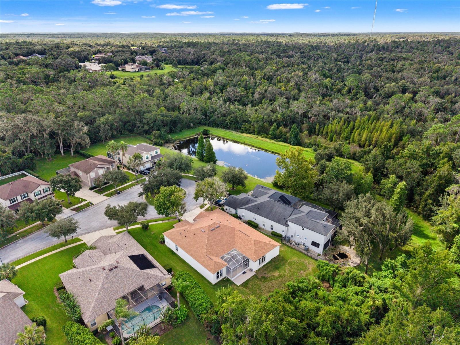 6111 Heroncrest Ct, Lithia, FL 33547 photo