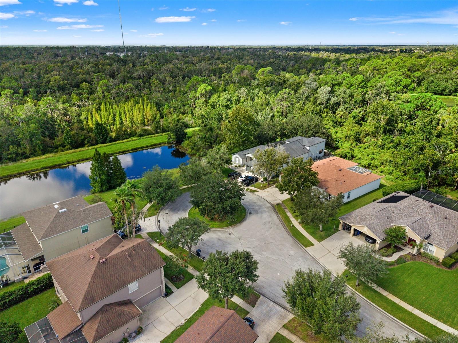 6111 Heroncrest Ct, Lithia, FL 33547 photo