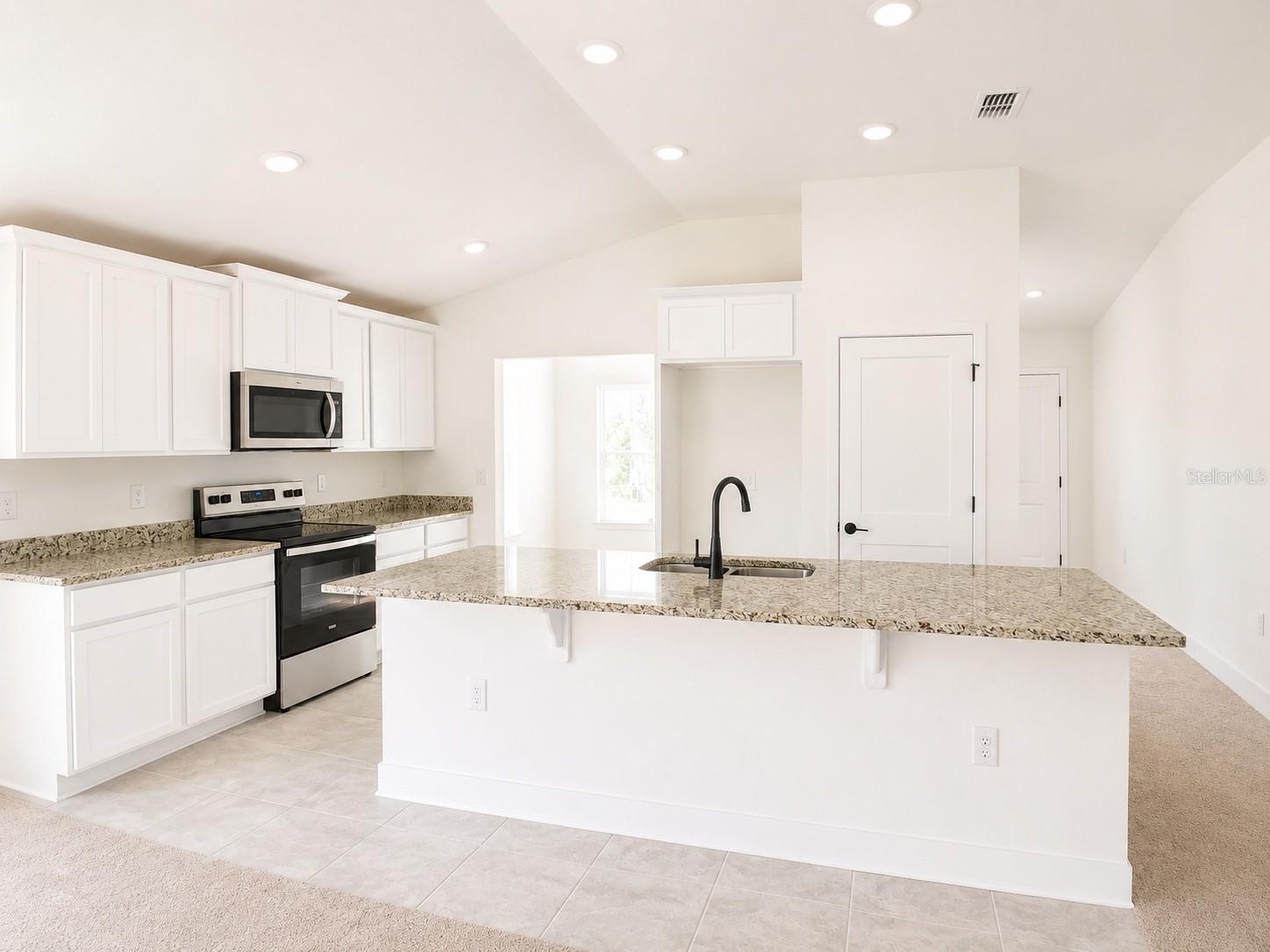 262 Verny Grove Ln, Leesburg, FL 34748 photo