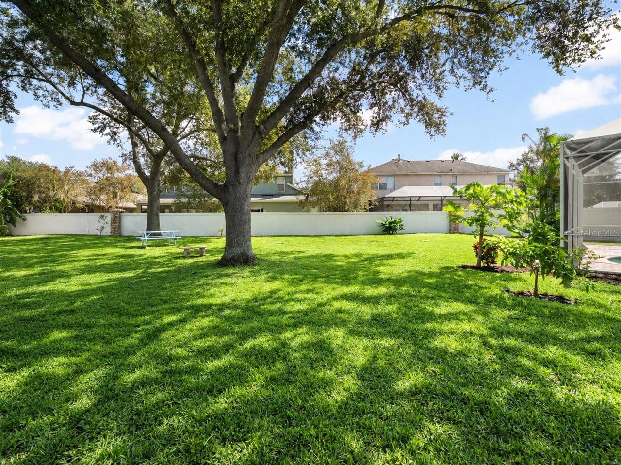 15019 Lake Emerald Blvd, Tampa, FL 33618 photo