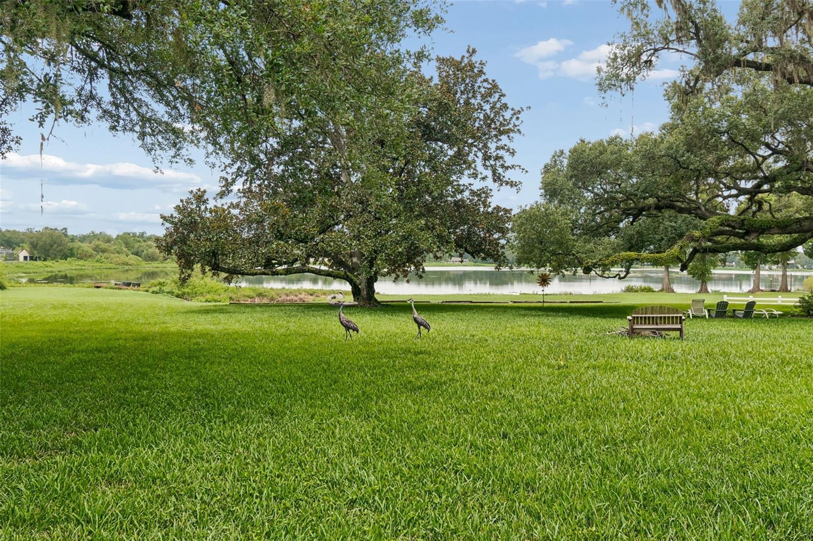 1904 Capri Rd, Valrico, FL 33594 photo