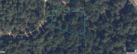 in KEYSTONE HEIGHTS FL 7231 LEHIGH DRIVE.jpg