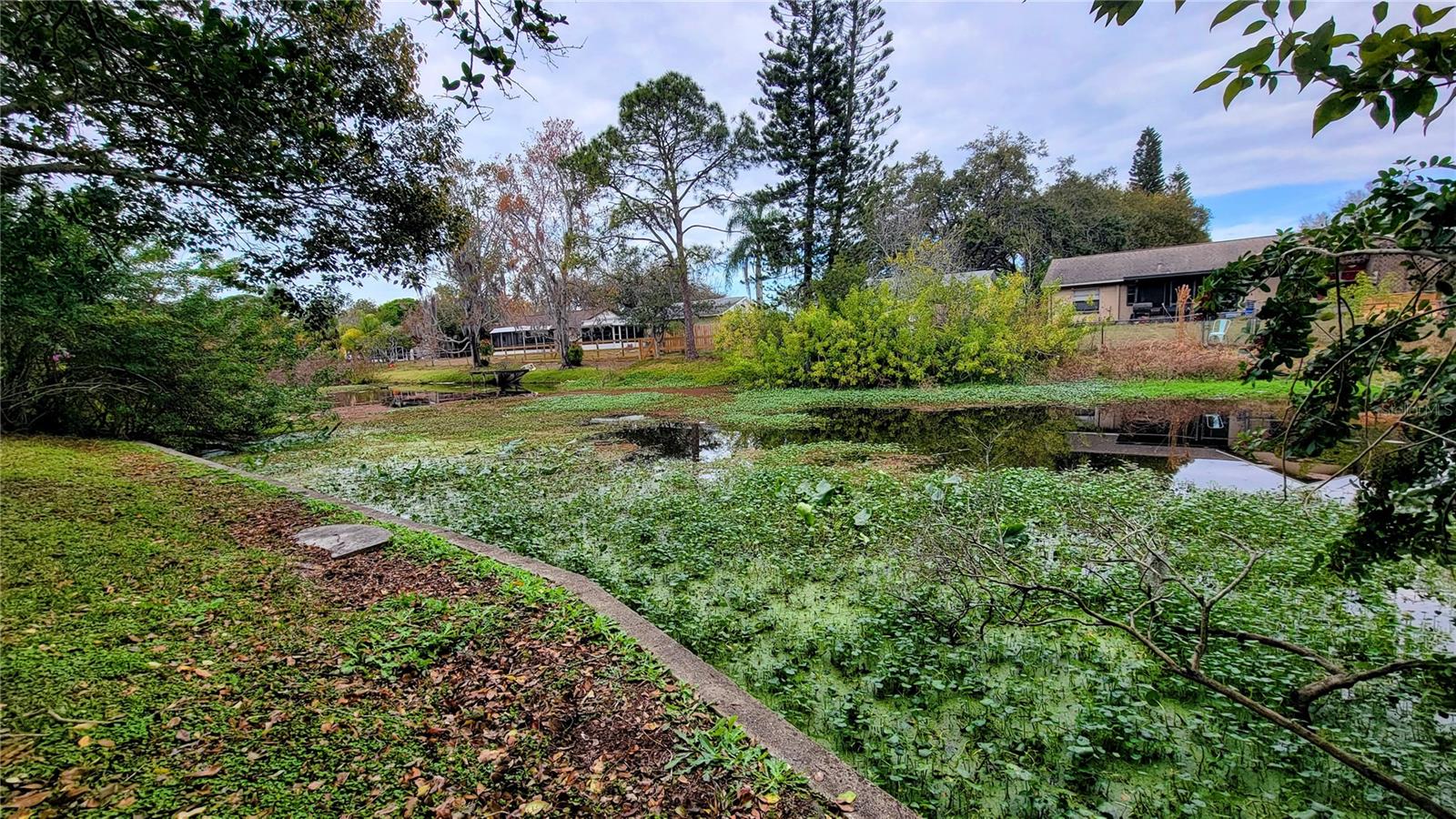 7051 Wentworth Way, New Port Richey, FL 34655 photo
