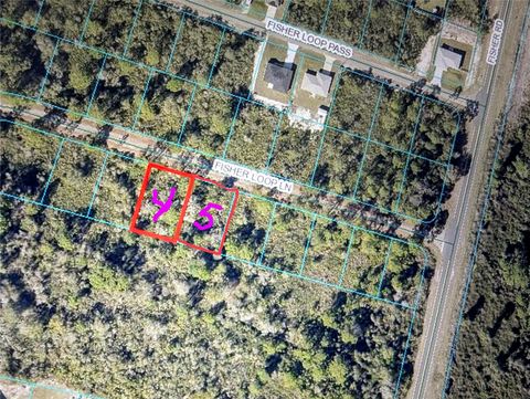  in OCKLAWAHA FL TBD FISHER LOOP LANE.jpg