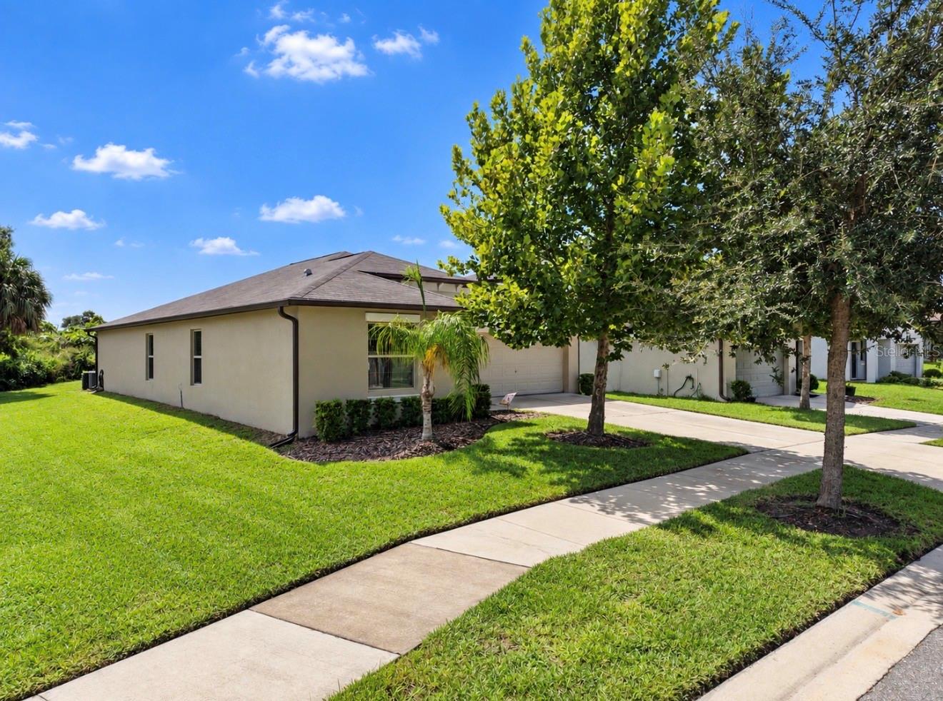 10017 Caraway Spice Ave, Riverview, FL 33578 photo