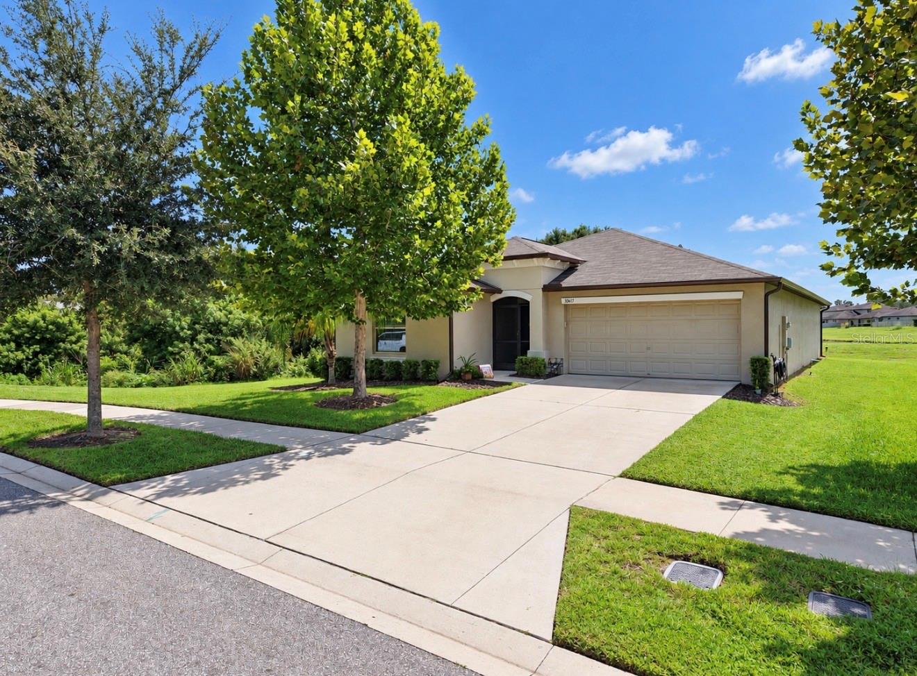 10017 Caraway Spice Ave, Riverview, FL 33578 photo