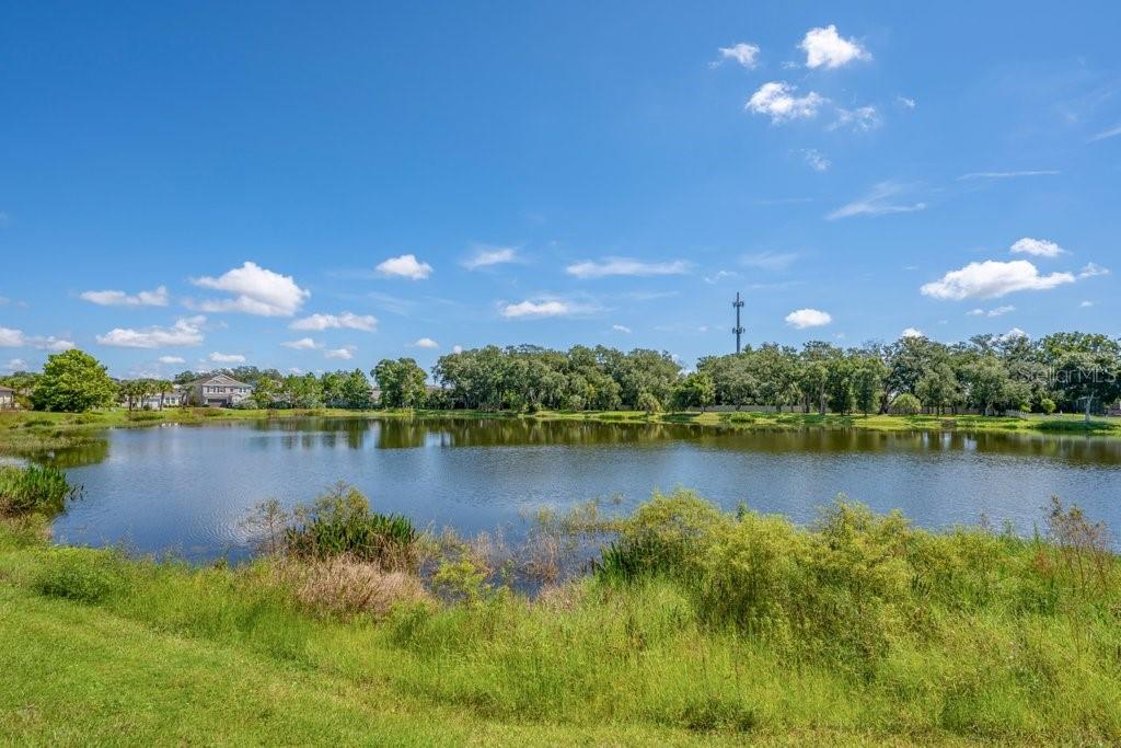 5412 Camberwell Ln, Riverview, FL 33578 photo