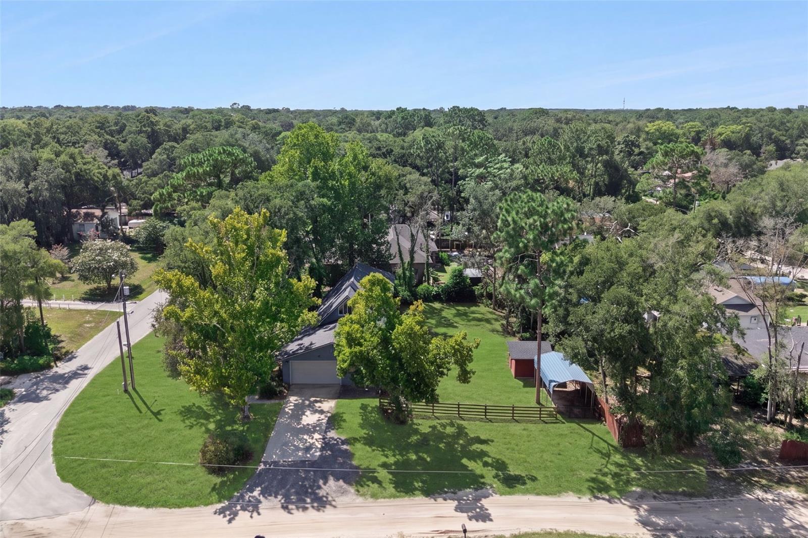 25911 Aberdovey Ave, Sorrento, FL 32776 photo
