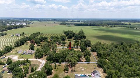  in DADE CITY FL 9630 NELSON ROAD.jpg