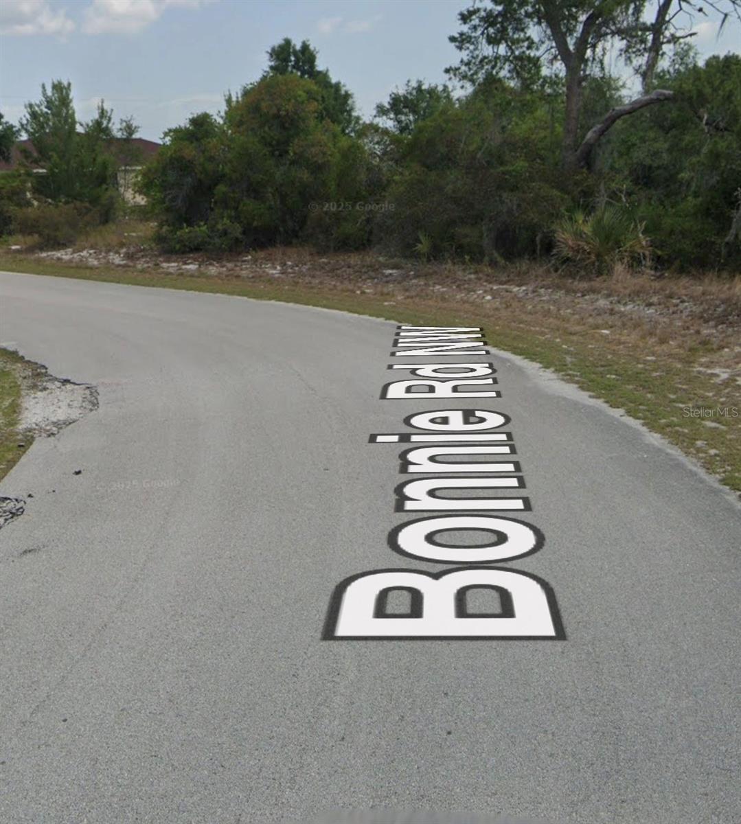 110 Bonnie Rd, Lake Placid, FL 33852 photo