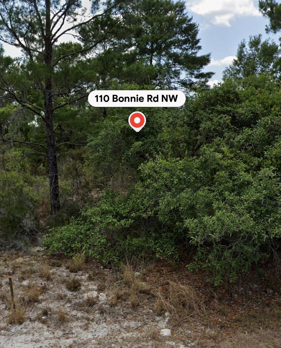 110 Bonnie Rd, Lake Placid, FL 33852 photo