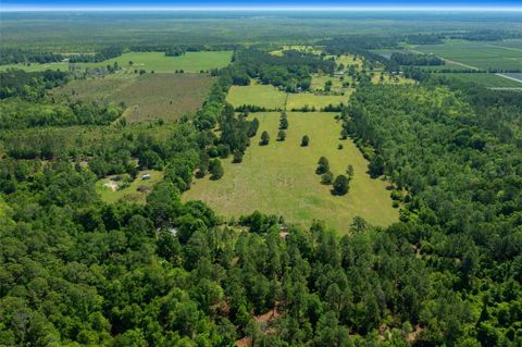 in WALDO FL 16324 NE COUNTY ROAD 1471.jpg