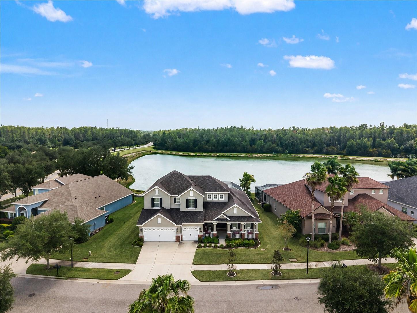 19304 Yellow Clover Dr, Tampa, FL 33647 photo