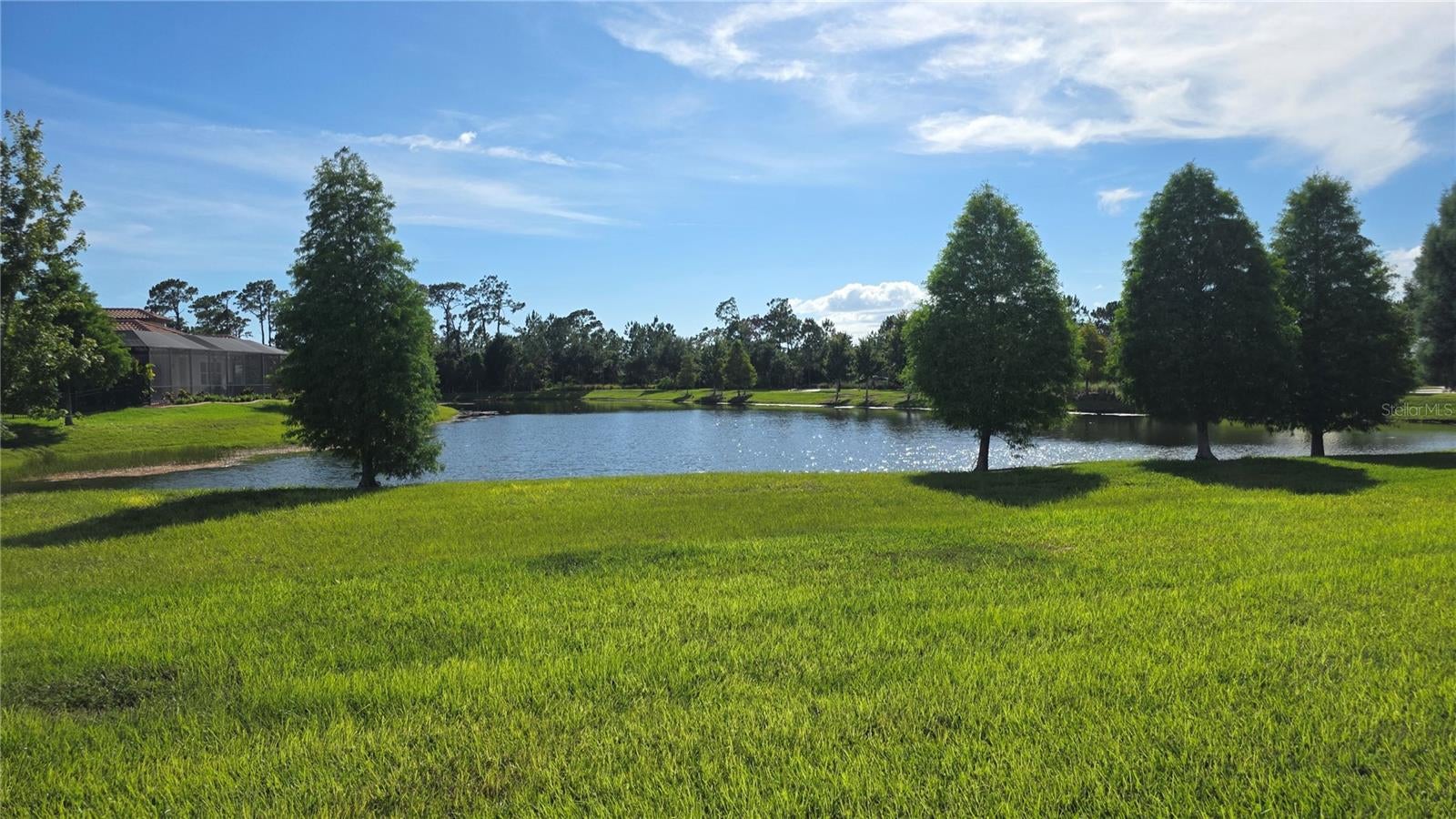 11911 Sand Myrtle Rd, Riverview, FL 33579 photo