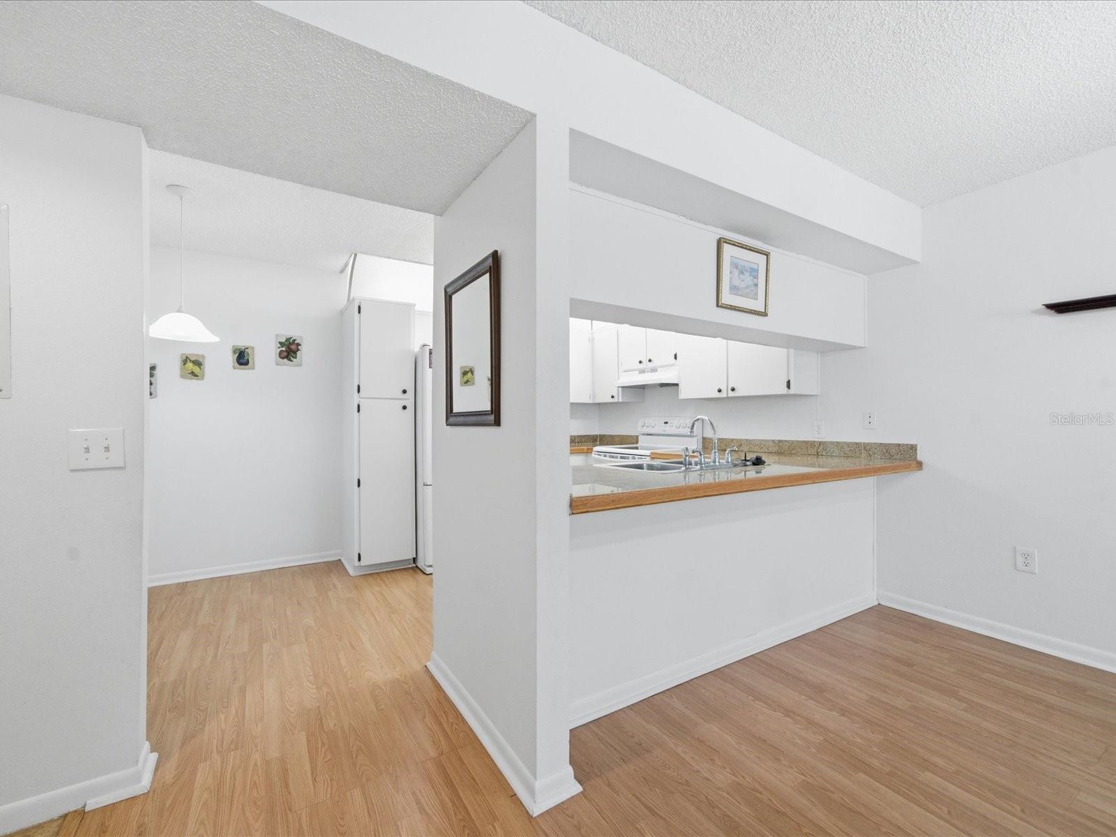 12130 Spartan Way #103, Hudson, FL 34667 photo