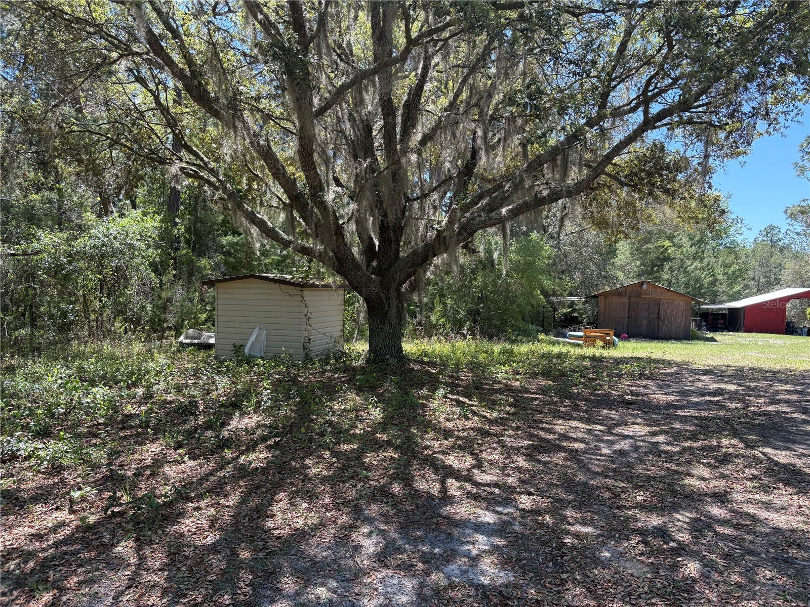 Mobile Home in FLORAHOME FL 1882 BELLAMY ROAD 30.jpg