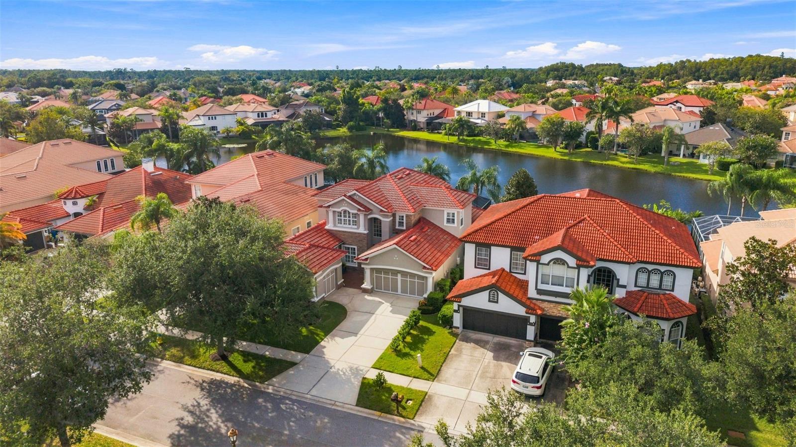 11625 Bristol Chase Dr, Tampa, FL 33626 photo