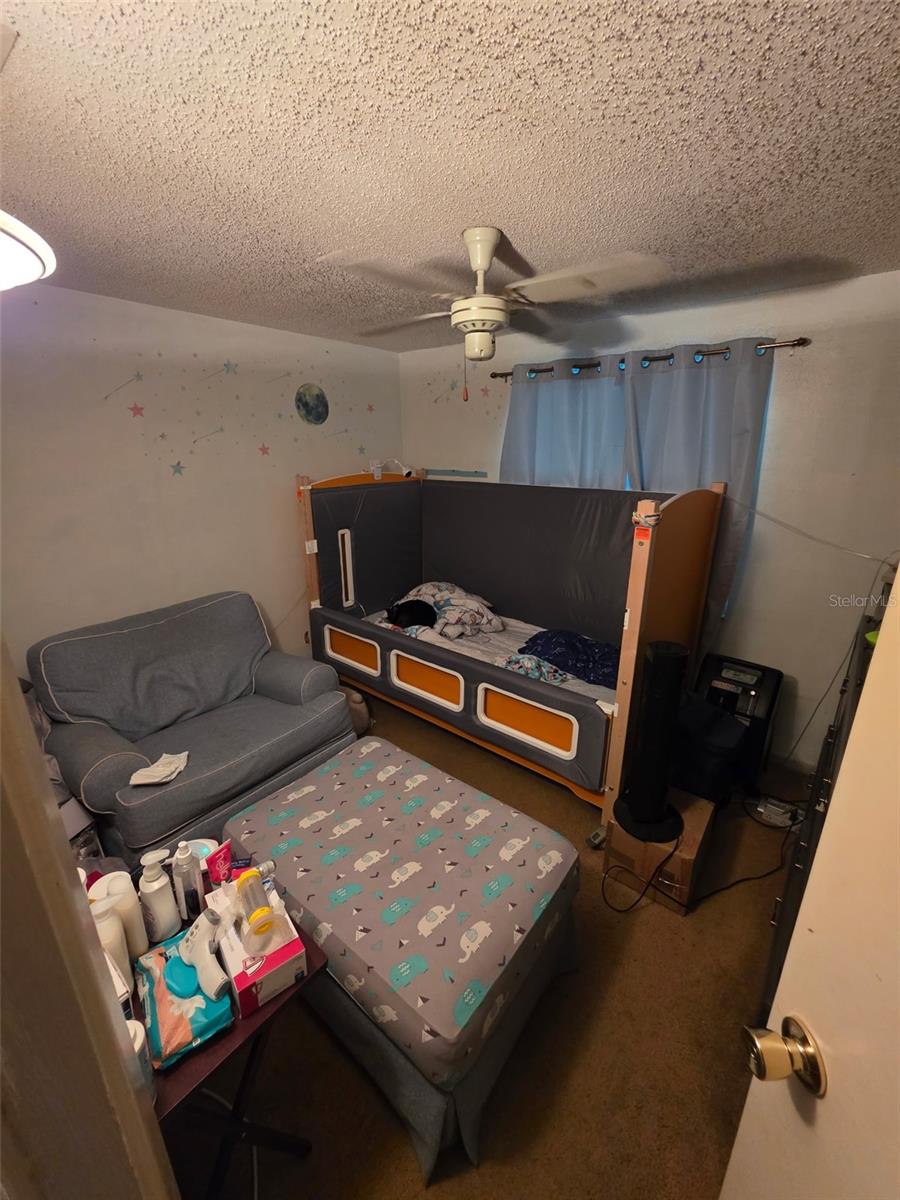 6415 Monterey Blvd, Tampa, FL 33625 photo