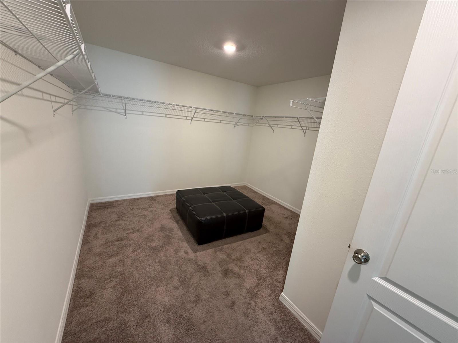 13085 Thatch Palm Way, Orlando, FL 32828 photo