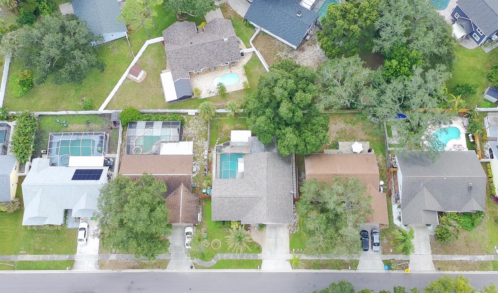 1418 Stonehenge Way, Palm Harbor, FL 34683 photo