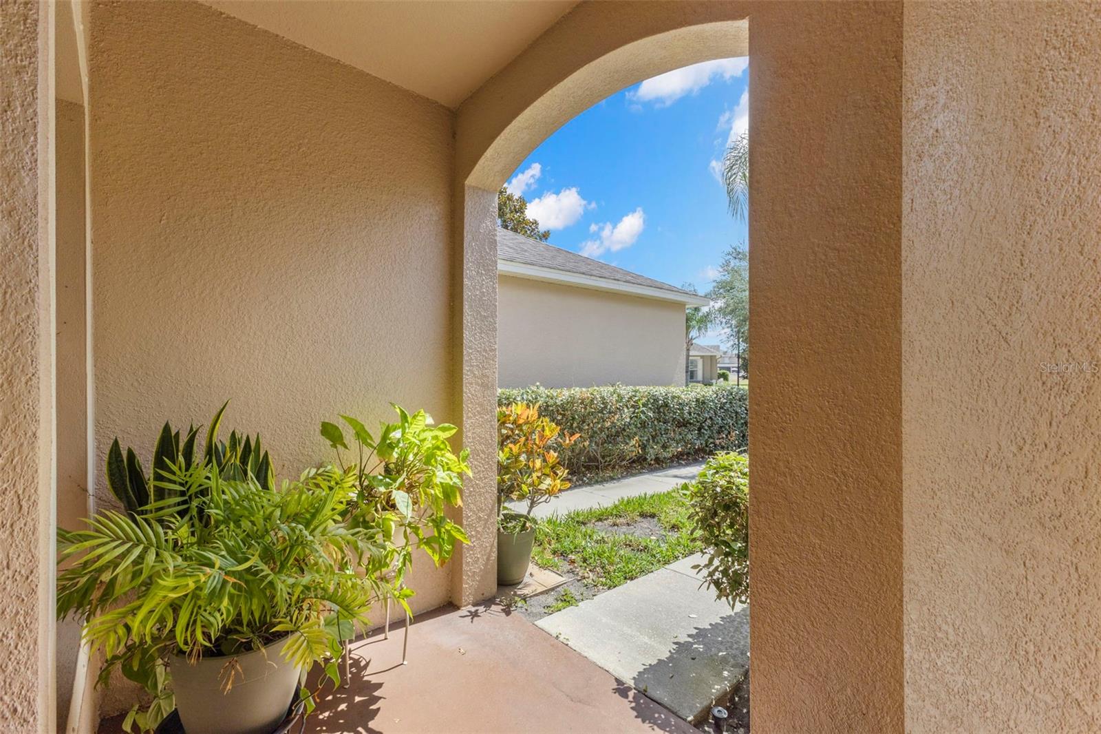 13627 Crest Lake Dr, Hudson, FL 34669 photo