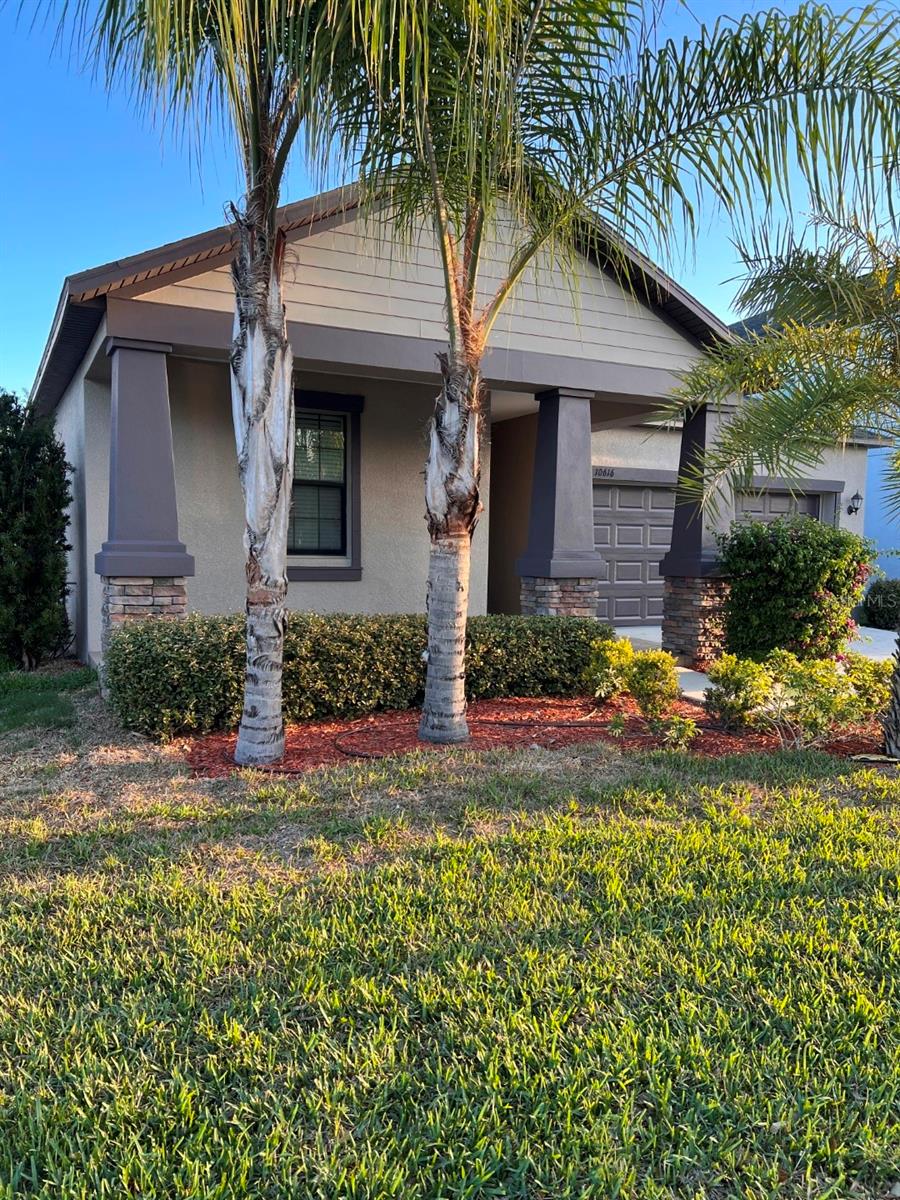 10616 Great Cormorant Dr, Riverview, FL 33579 photo