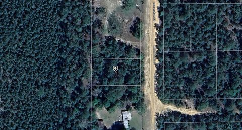  in INTERLACHEN FL 117 ROMANSHORN STREET.jpg