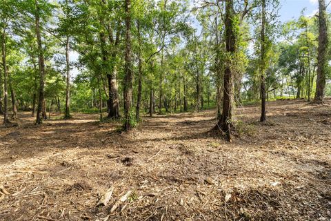  in DADE CITY FL 0 RIDERWOOD DRIVE 6.jpg