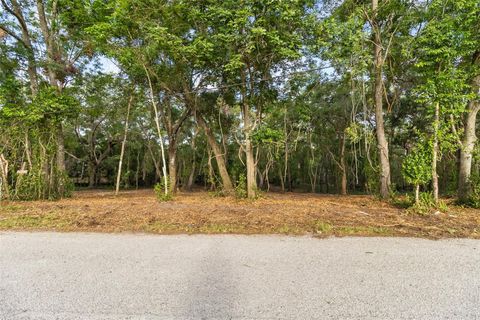  in DADE CITY FL 0 RIDERWOOD DRIVE 4.jpg