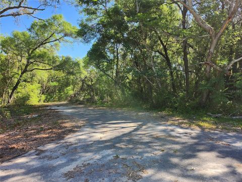  in OCKLAWAHA FL TBD GUAVA TERR LOOP.jpg