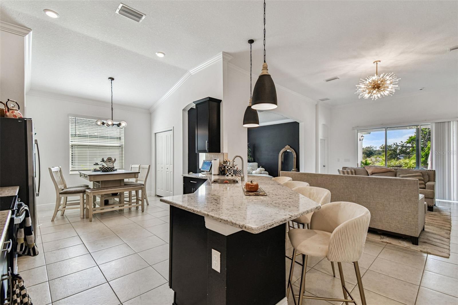 1039 Davis Heather Cir, Seffner, FL 33584 photo