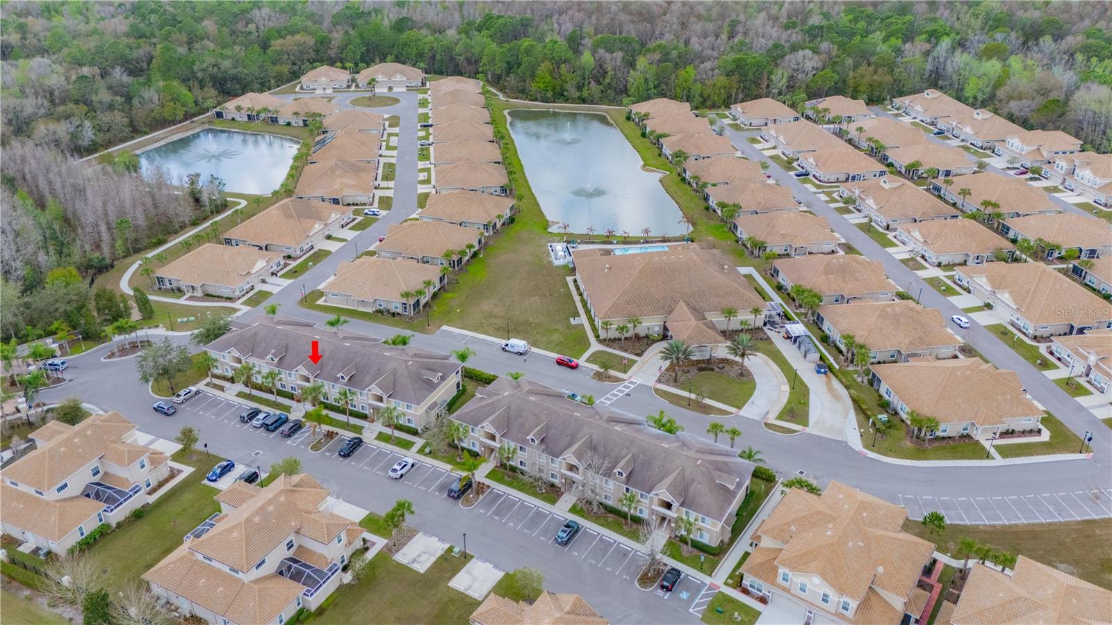 1195 Godavari Way #104, Wesley Chapel, FL 33543 photo